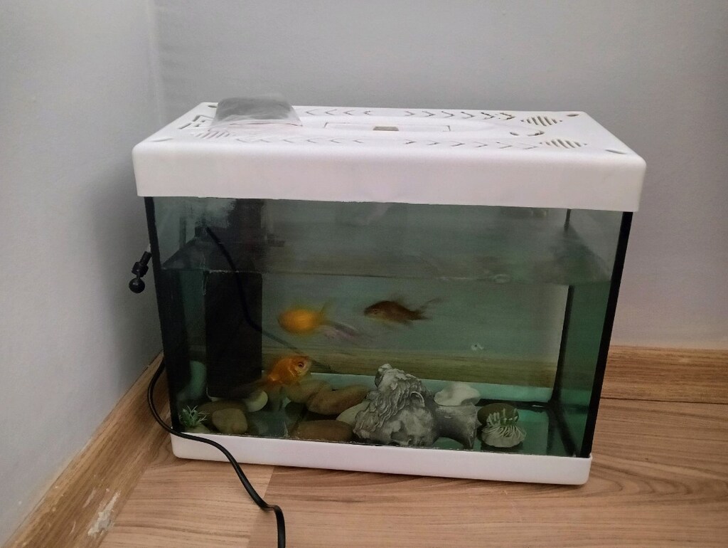 mini akvaryum - 5