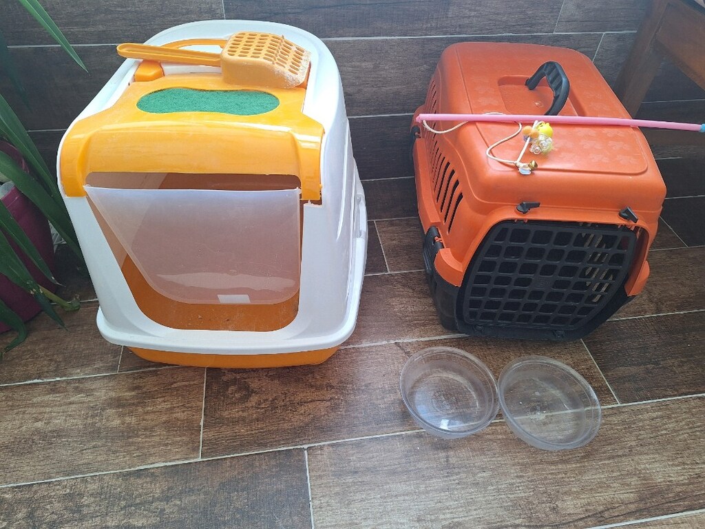 kedi taşıma çantası tuvaleti buharlı kedi tarağı ve tırnak makası