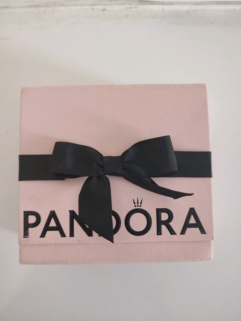 Pandora bileklik + 2 adet charm