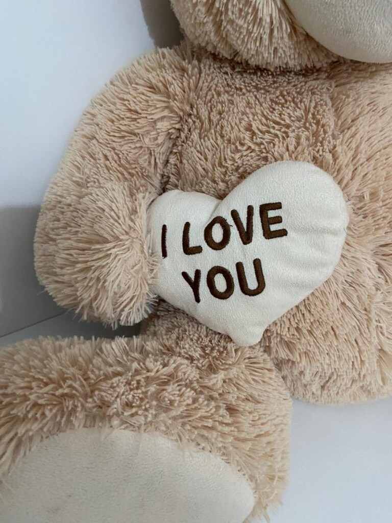 Peluş ayı - 3