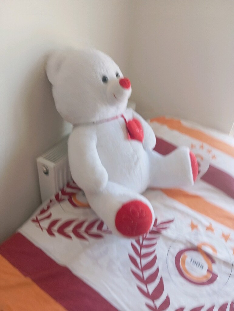 peluş oyuncak ayı - 2