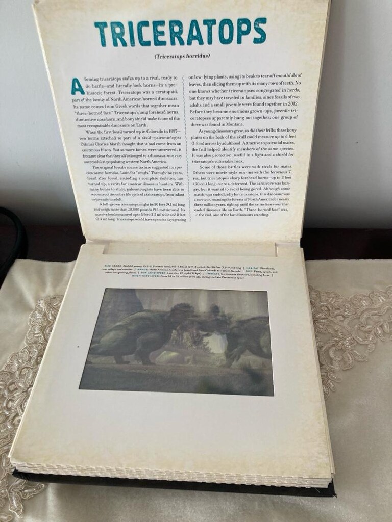 Dinozor resimli İngilizce kitap - 7