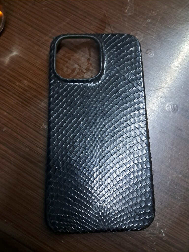 iPhone 16 Yılan Derisi kılıf - 3