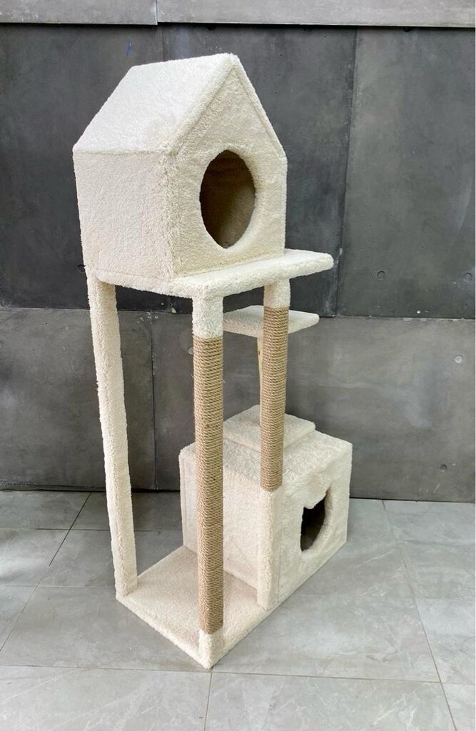 kedi evi - 3