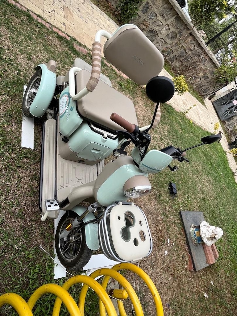 Elektrikli motor