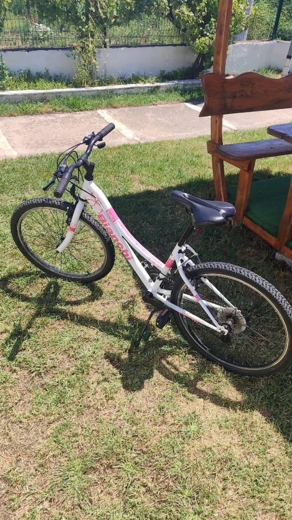 Bianchi 24J Bella (bayan) - Bianchi 24J Star dağ bisikleti - 3