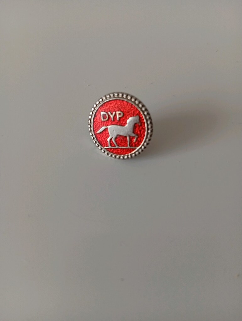 Vintage, Doğru yol partisi, yaka rozeti. Eskilerden kalma bir üründür. - 3