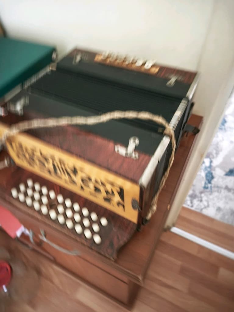 ANTİKA AKORDİYON - 3