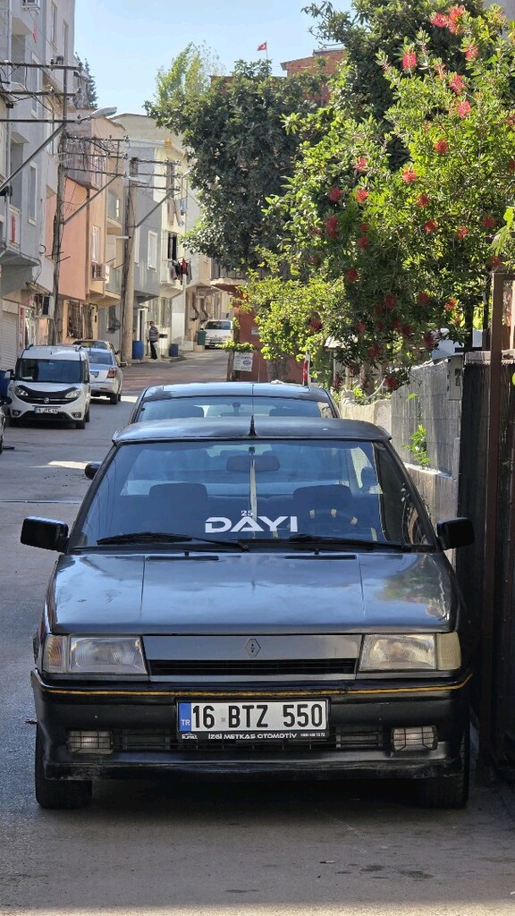 Renault 12