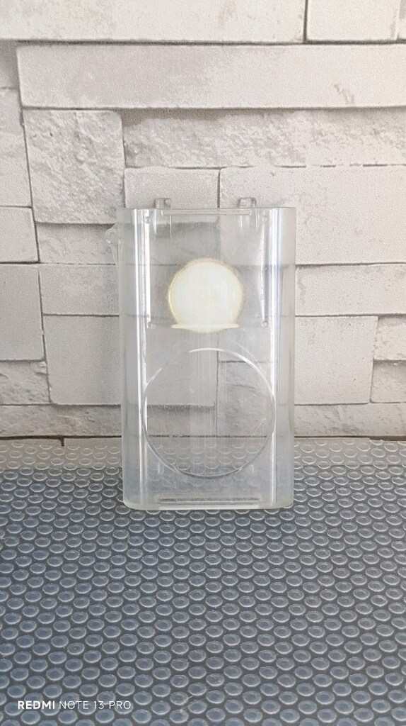 Apple iPod mini şeffaf Kılıf