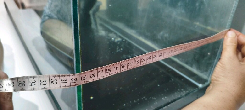 KOMPLE SATILIK AKVARYUM - 11