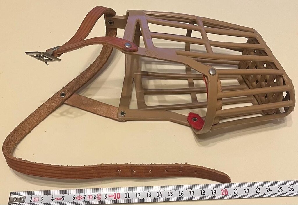 köpek ağızlık burunluk tasması - 4