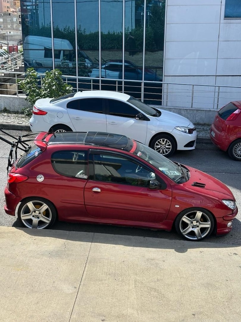 Tertemiz peugeot 206 - 7