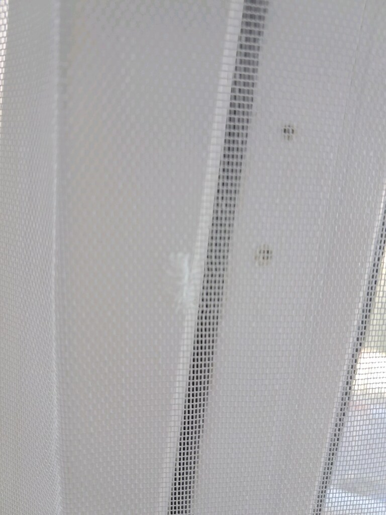 400x270 tül - 3