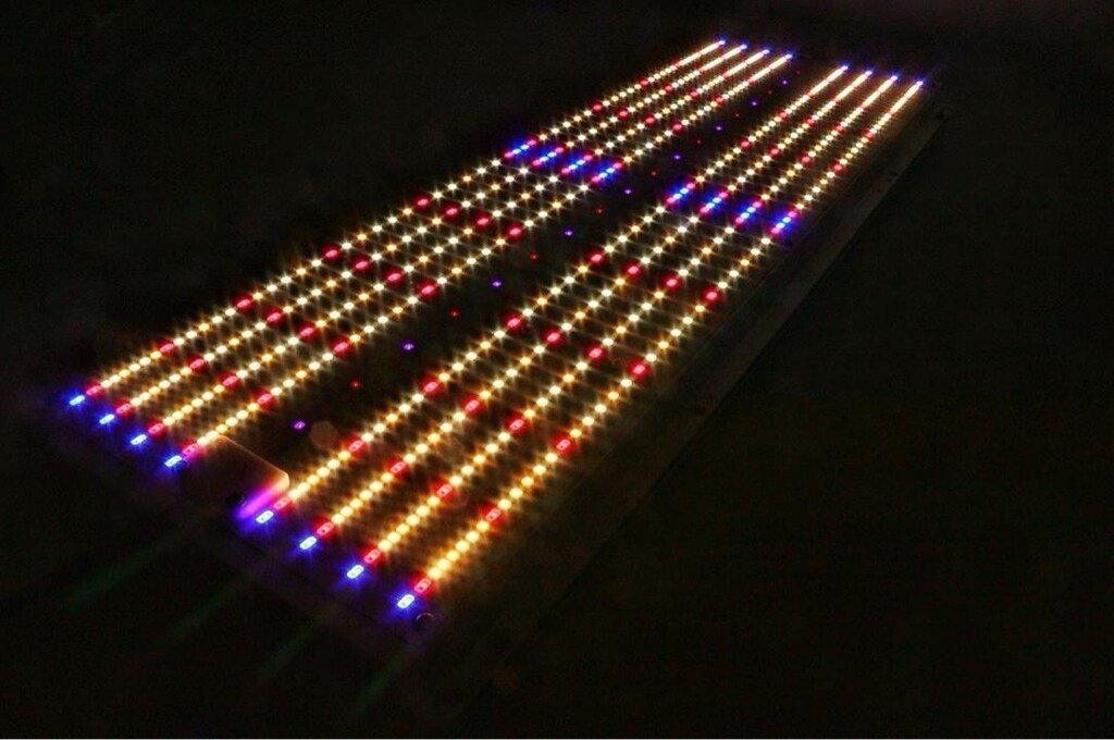 240w Lm301h Quantum Board Bitki Yetiştirme Lambası - 2