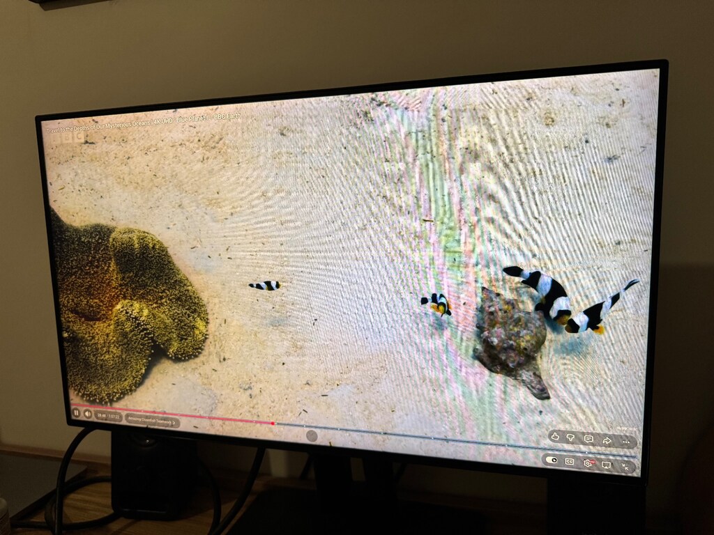 ViewSonic Monitör 24" 75hz 7ms Full HD IPS (VP2458) - 5
