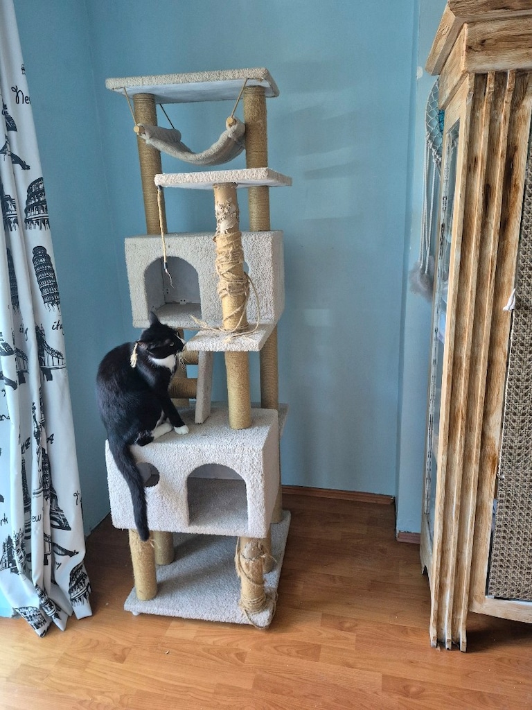 kedi tırmalama kulesi