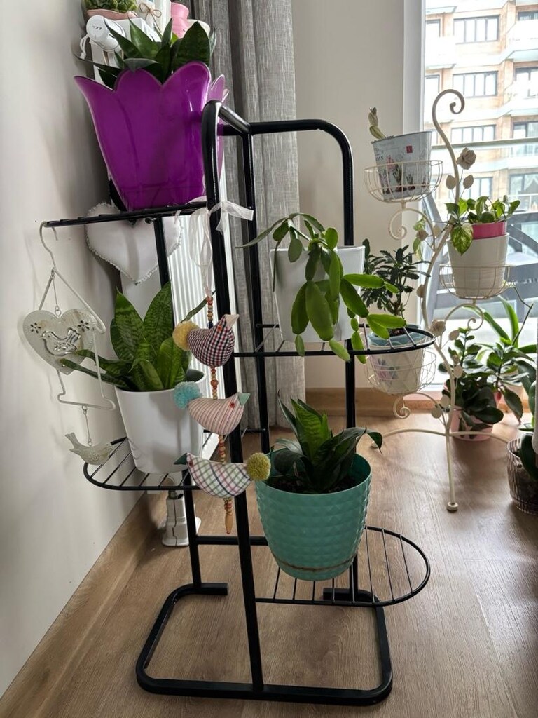 çok yeni diyah metal şık çiçeklik 83x52 ölçü - 3