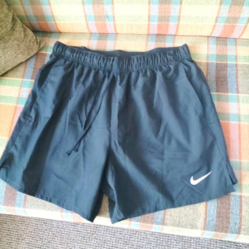 NİKE Dri-fit erkek koşu şortu - 2