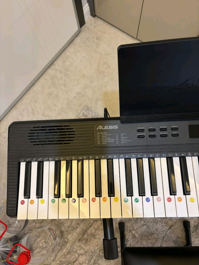 Alesis Melodi 61 org - 2