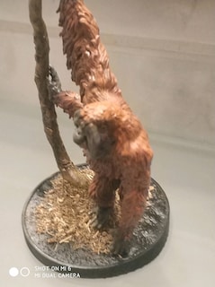 Koleksiyonluk El Boyaması Sumatran Orangutan Minyatürü (FRP / Diorama - 6