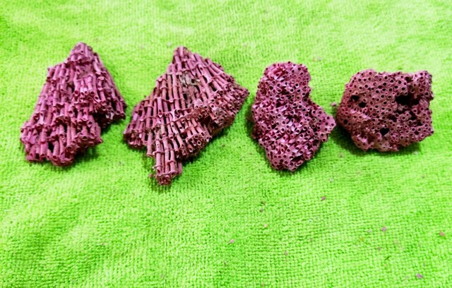 HAKİKİ DOĞAL KIRMIZI MERCAN 56 GR.4 PARÇA
