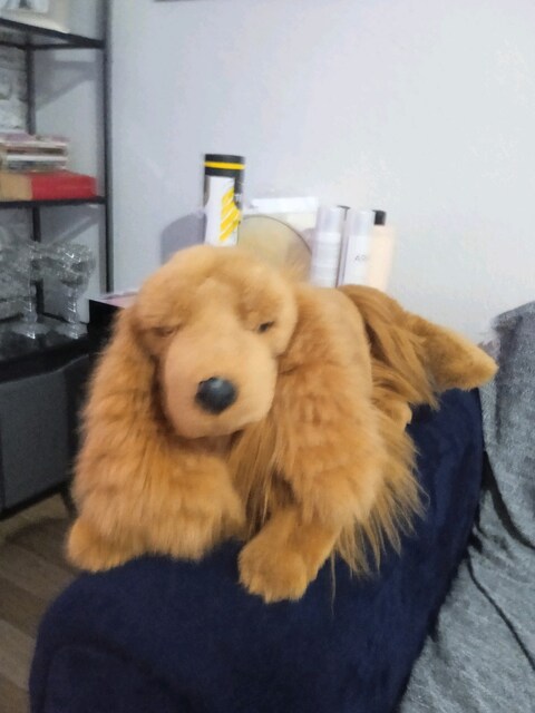 peluş köpek