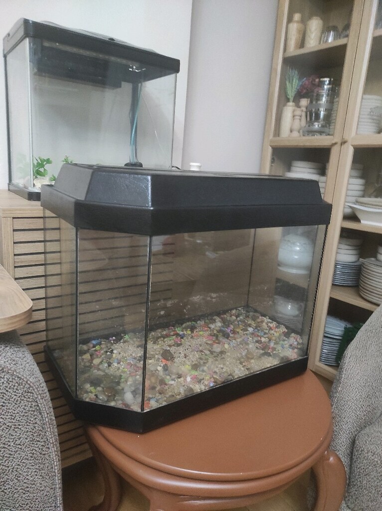 60x40x35 ölçüsü nadir köşegen akvaryum ışıklı taşları var motor sıfır - 2