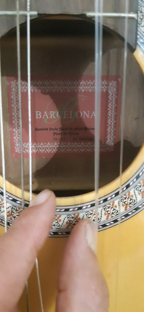 gitar elektro - 6