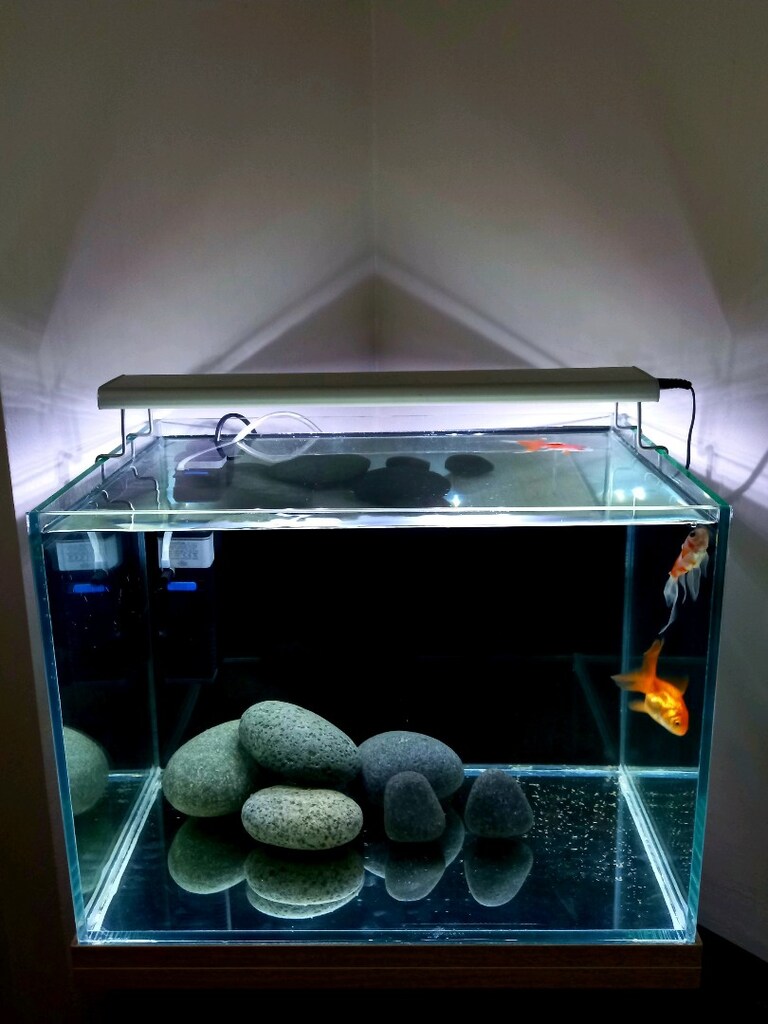 nano akvaryum set 40x30x30 - 3