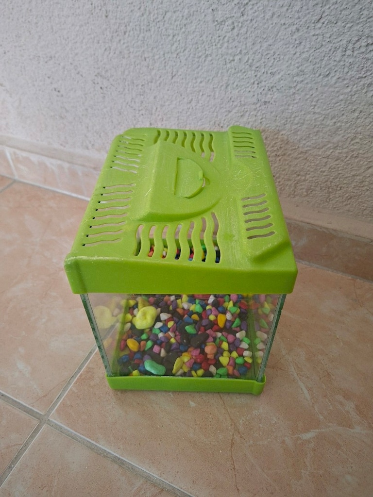 20 cm Akvaryum tasları ile birlikte - 3