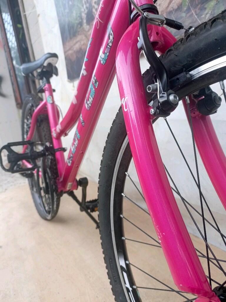 24" CANT CARRARO speed 242 KIZ BİSİKLETİ - 3