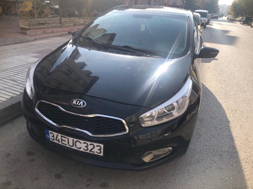Kara şimşek yeni sahibini arıyor - 2