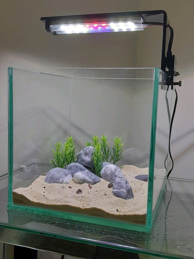 nano akvaryum mini 20x20x20 clear - 7