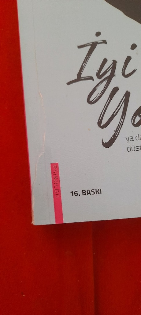 İYİ AİLE YOKTUR, NİHAN KAYA - 3