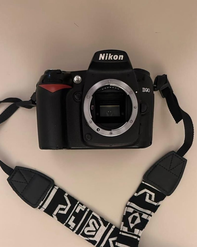 Nikon D90 + 18-105mm VR Lens - 3
