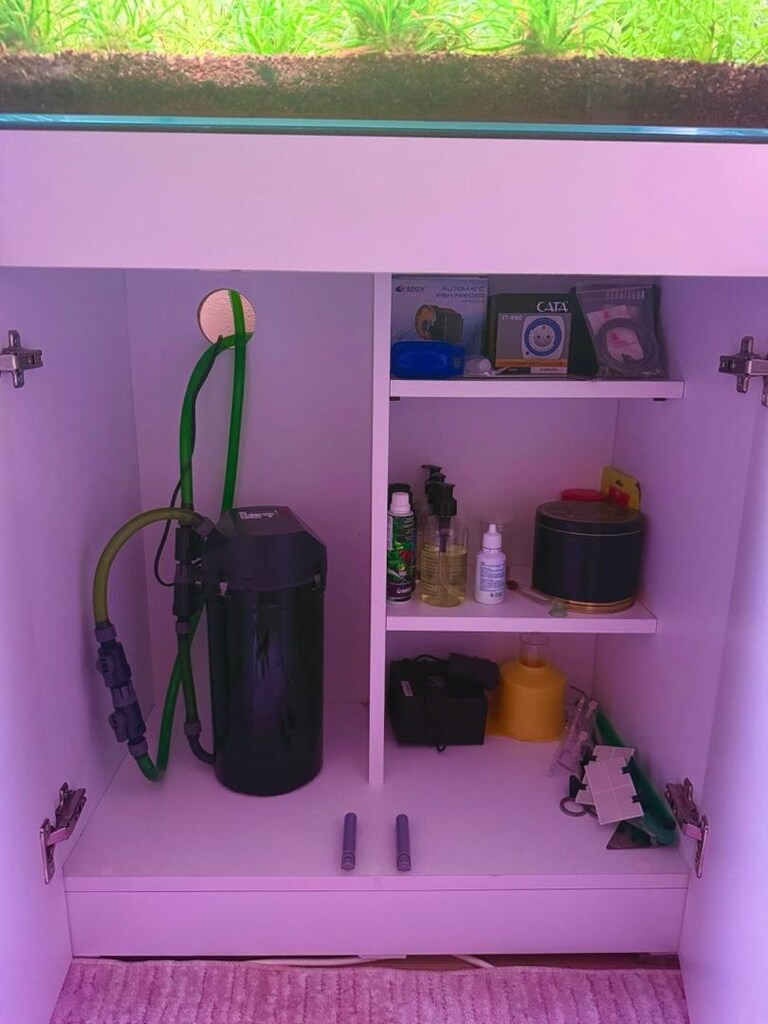 FULL SİSTEM PLANTED AKVARYUM SETİ SATILIK - 2