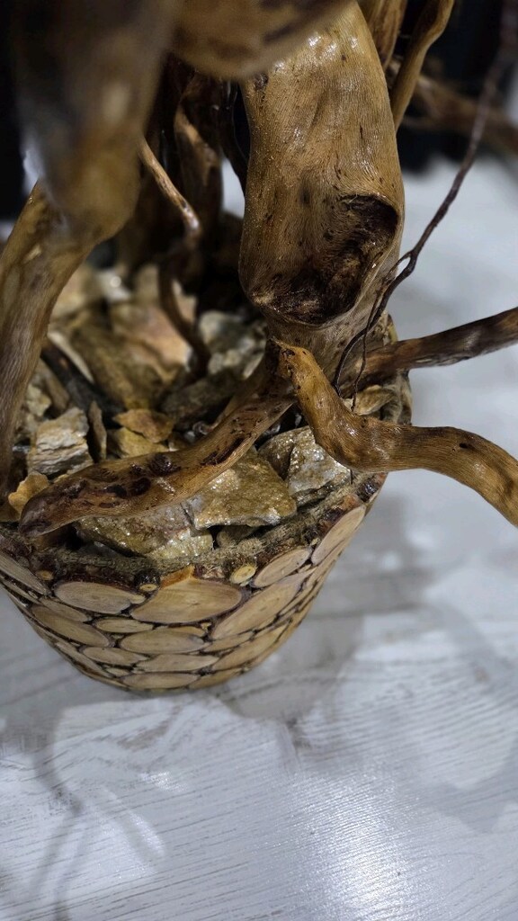 yapay bonsai ağacı. ahşap ağaç. ahşap saksı - 2