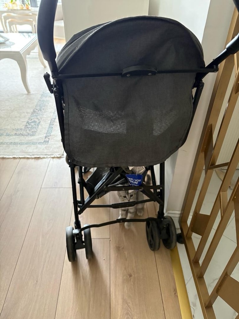 baston bebek arabası - 8