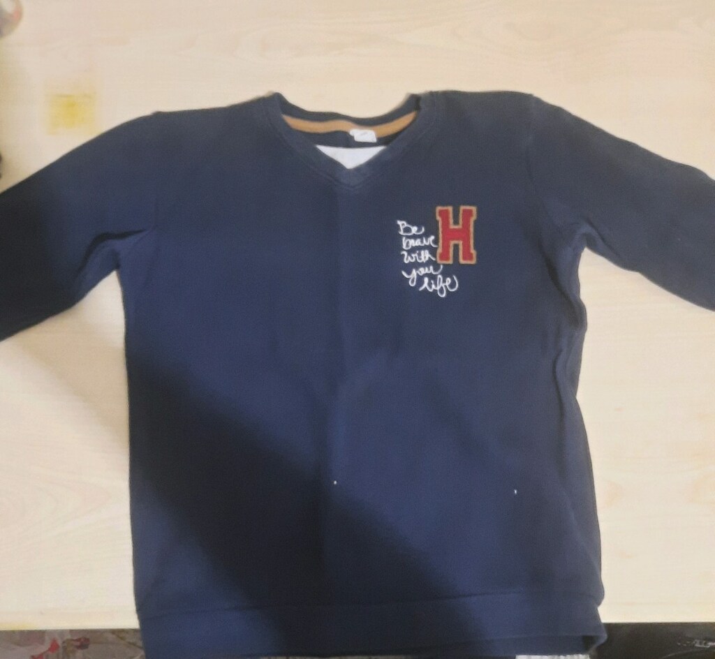 LC Waikiki Erkek Çocuk Lacivert Sweatshirt / Kazak (8-9 Yaş)