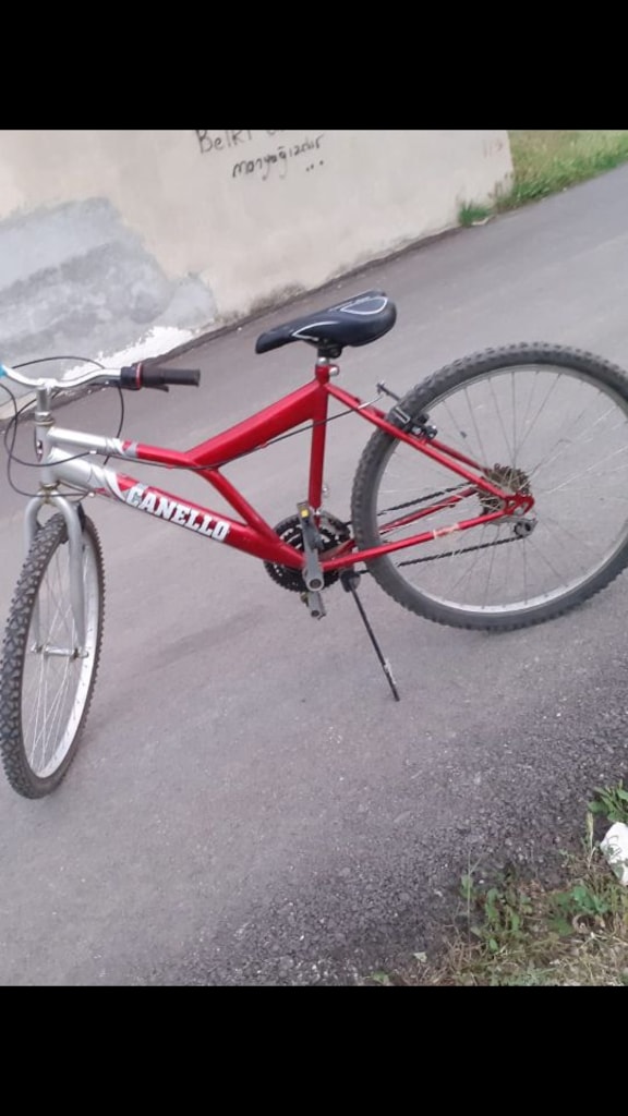 Sevinsin çocuk 2.700 tl bisiklet - 6