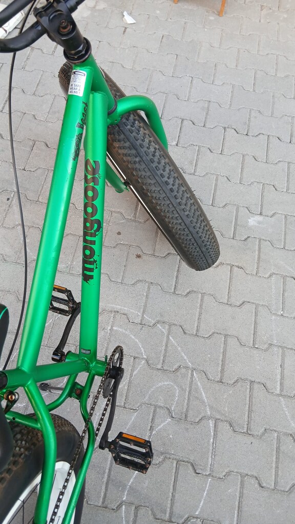 Mongoose Beast - 6