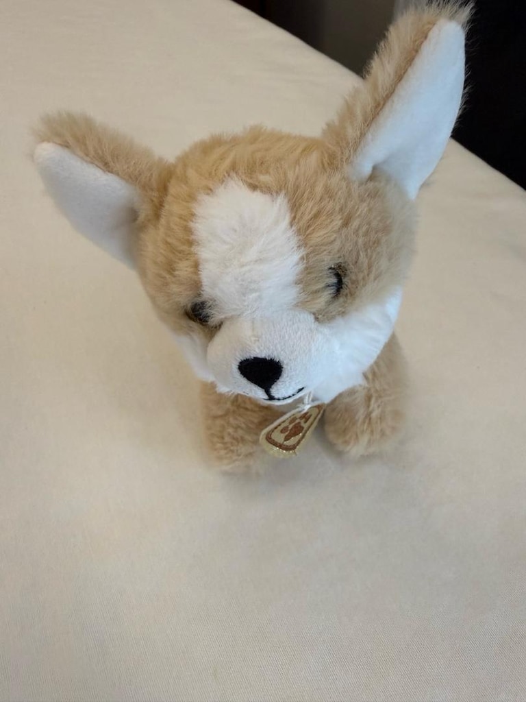 Peluş köpek - 2