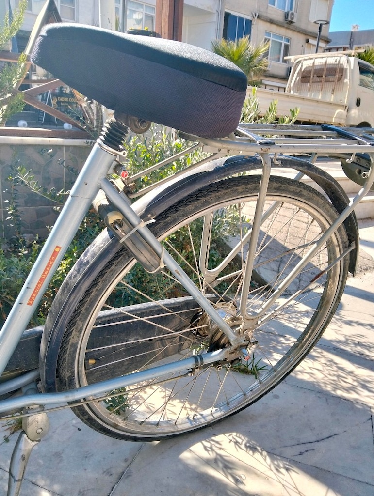 ORJİNAL GAZELLE İNPALA - 4