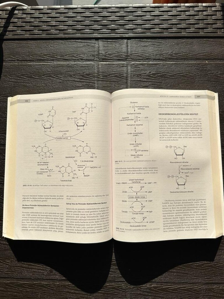 TIBBİ BİYOKİMYA PROF.DR.FİGEN GÜRDÖL - 2