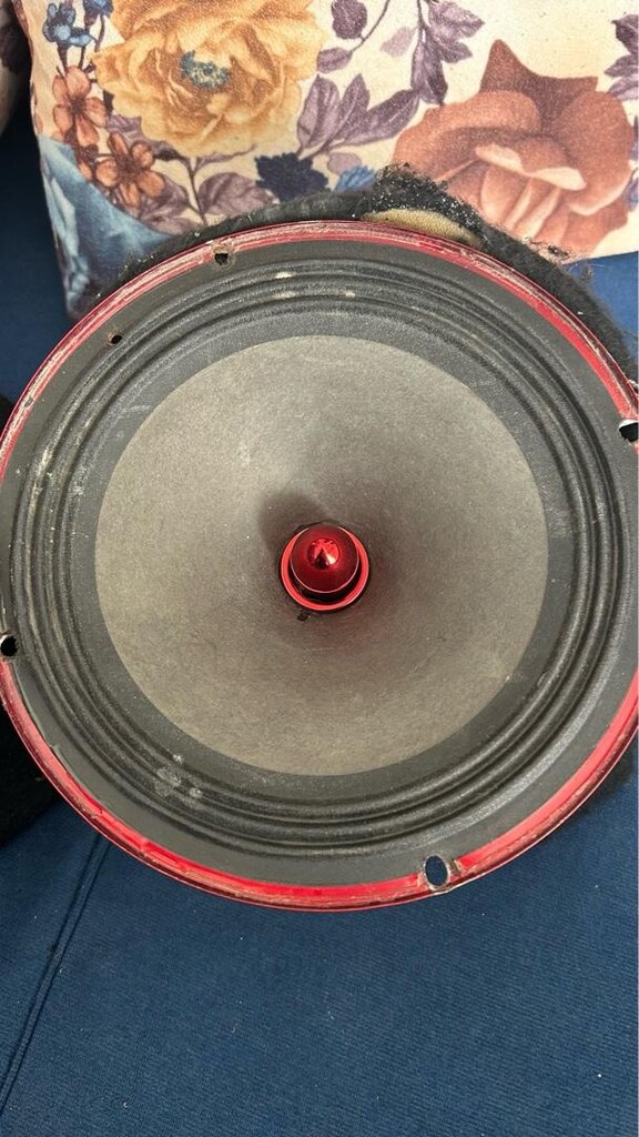 20 CM MİDRANGE VE PANZİLOTU - 3