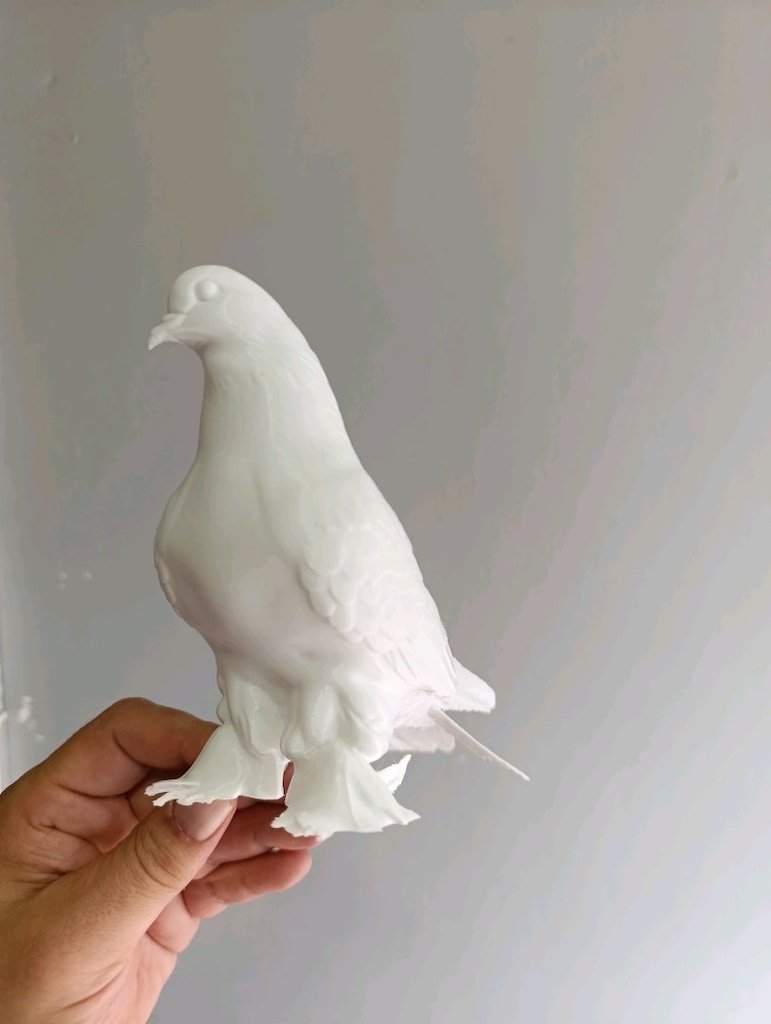 Sütbeyaz Paçalı Taklacı Güvercin figürü - 16