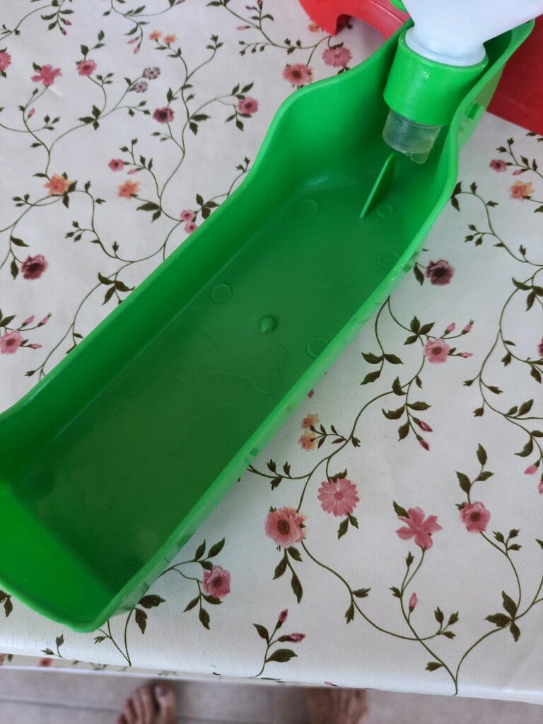 kedi soluğu - 5