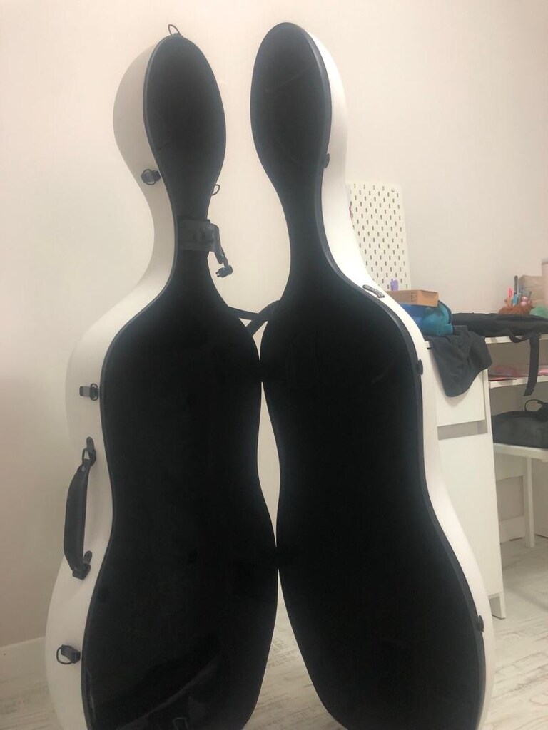cello hard case - 3