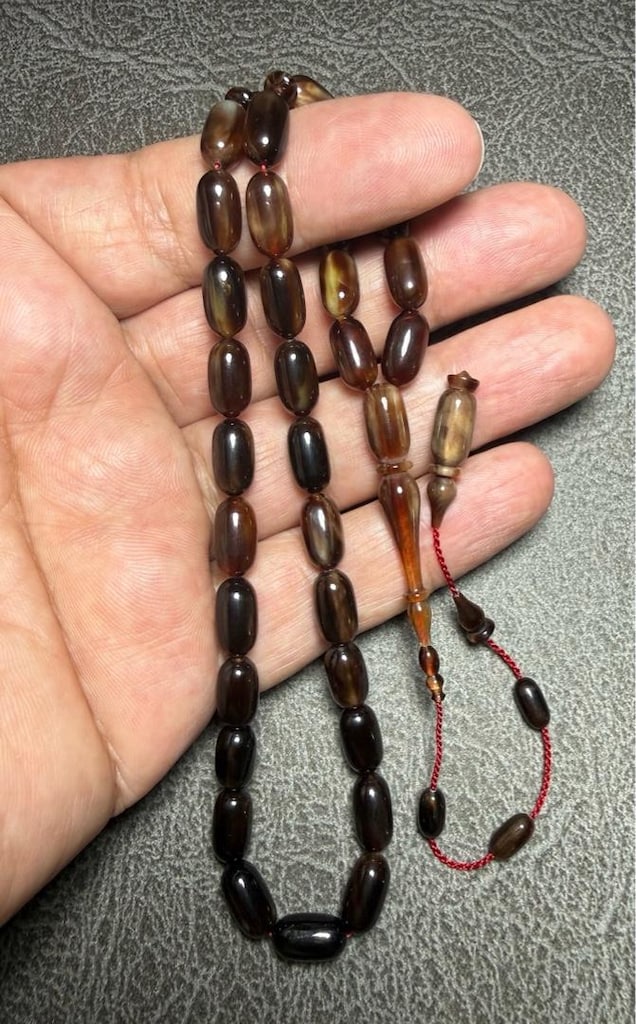 karetta bağa - 4